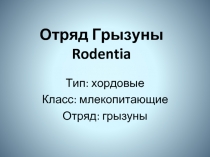 Отряд Грызуны Rodentia