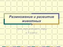 Размножение и развитие животных