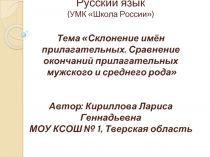 Склонение имён прилагательных. Сравнение окончаний прилагательных мужского и среднего рода