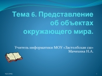  Представление об объектах окружающего мира.