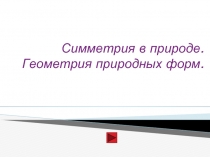 Симметрия в природе. Геометрия природных форм.