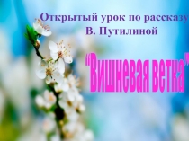 Открытый урок по рассказу  В. Путилиной  “Вишневая ветка”