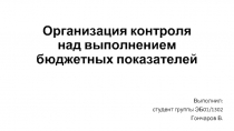 Организация контроля над выполнением бюджетных показателей