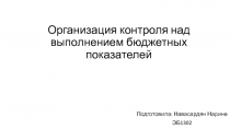 Организация контроля над выполнением бюджетных показателей 