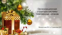 Организационная структура системы таможенных органов