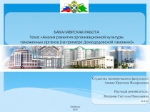 Анализ развития организационной культуры таможенных органов (на примере Домодедовской таможни