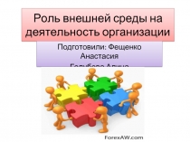 Роль внешней среды на деятельность организации
