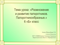 Размножение и развитие папоротников. Папоротникообразные