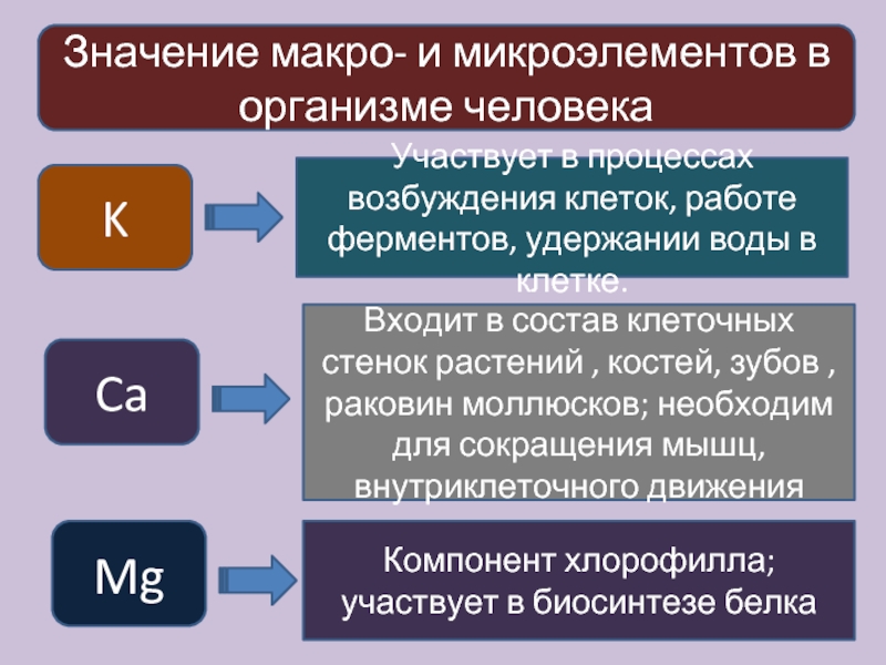 Макро и микронутриенты