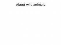 About wild animals