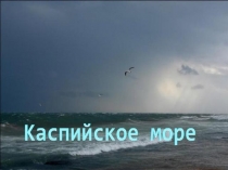 Каспийское море 