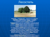 Лесостепь