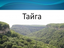 Тайга