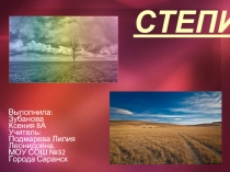 СТЕПИ