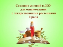 Создание условий в ДОУ для ознакомления с лекарственными растениями Урала