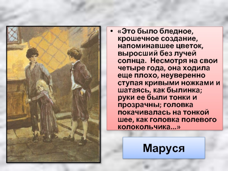 План сочинения по литературе 5 класс в дурном обществе