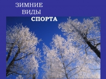 ЗИМНИЕ ВИДЫ СПОРТА
