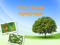 Что такое природа