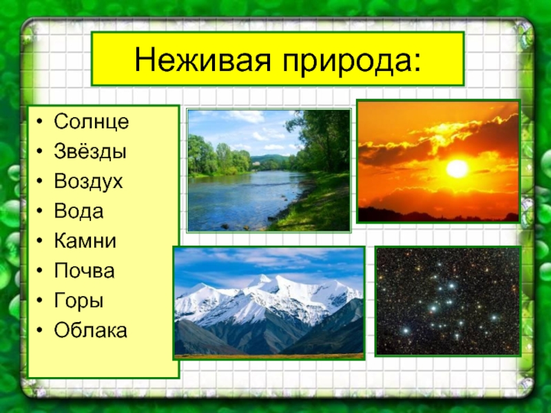 Объекты неживой природы и живой природы картинки