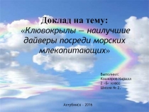 Клювокрылы — наилучшие дайверы посреди морских млекопитающих