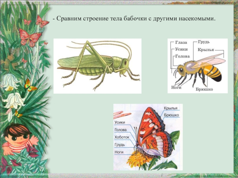 Конспект урока с презентацией 1 класс кто такие насекомые 1 класс