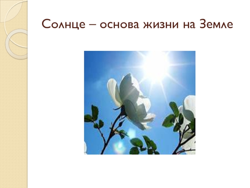 Солнце основа. Солнце основа жизни. Природоведение солнце. Основа солнца. Почему всем хватает места на земле 5 класс Природоведение презентация.