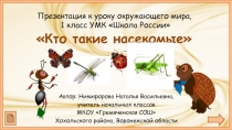 Кто такие насекомые