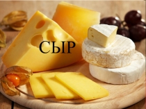Химический состав сыра