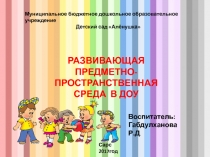 Развивающая  предметно-пространственная  среда в ДОУ