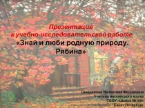 Знай и люби родную природу. Рябина