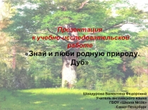 Знай и люби родную природу. Дуб