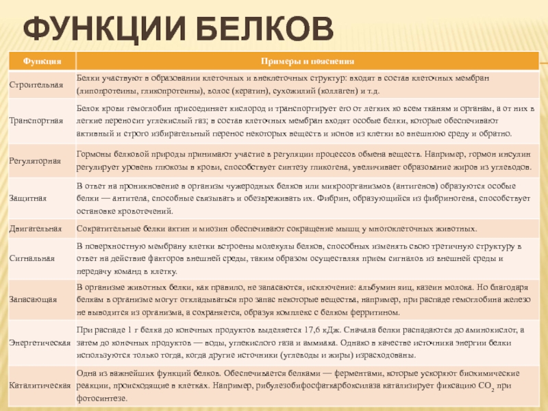 Список выполняемая функция. Функции белков с объяснением. Все функции белков с примерами. Таблица функции белков характеристика примеры 10 класс. 10 Функций белков с примерами.