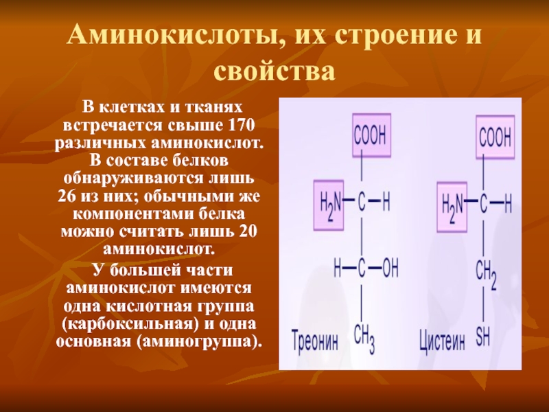 Структура аминокислот. Аминокислоты их строение. Строение и свойства аминокислот. Строение белков аминокислоты. Аминокислоты их структура и свойства.