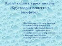 Круговорот веществ в биосфере