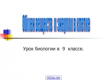 Обмен веществ и энергии в клетке 