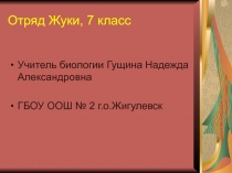 Отряд Жуки, 7 класс