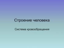 Строение человека  Система кровообращения