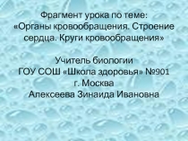 Органы кровообращения. Строение сердца. Круги кровообращения