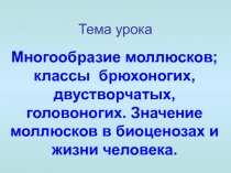 Многообразие моллюсков; классы брюхоногих, двустворчатых, головоногих. Значение моллюсков в биоценозах и жизни человека. 