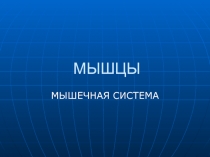 МЫШЦЫ  МЫШЕЧНАЯ СИСТЕМА