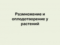 Размножение и оплодотворение у растений