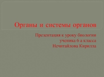 Органы и системы органов