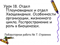 Отдел Плауновидные и отдел Хвощевидные. Особенности организации, жизненного цикла. Распространение и роль в биоценозах. 