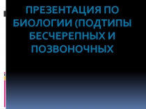 ПОДТИПЫ БЕСЧЕРЕПНЫХ И ПОЗВОНОЧНЫХ 