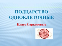 ПОДЦАРСТВО  ОДНОКЛЕТОЧНЫЕ  Класс Саркодовые