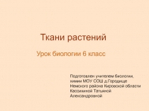 Ткани растений  Урок биологии 6 класс