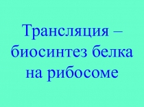 Трансляция – биосинтез белка на рибосоме