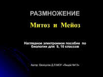 Митоз и Мейоз