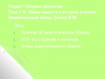 Обмен веществ и его роль в клетке. Энергетический обмен. Синтез АТФ.