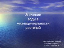 Значение воды в жизнедеятельности растений 